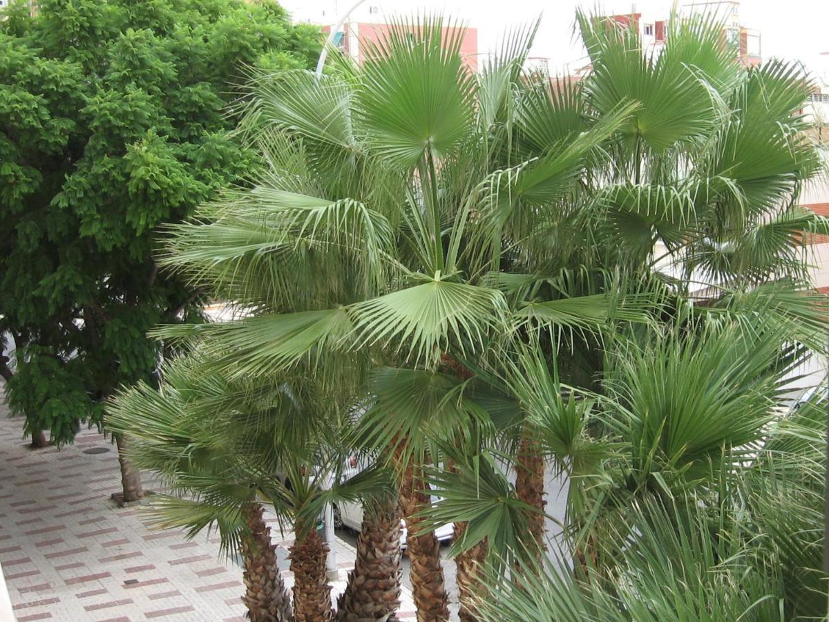 Excelente Apartamento Princesa 33 Torremolinosアパートメント エクステリア 写真